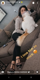 Diana Haddad feet photo 18