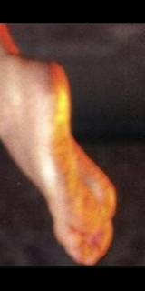 Diana Haddad feet photo 7