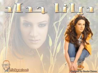 Diana Haddad feet photo 19