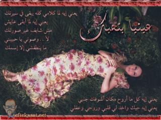 Diana Haddad feet photo 18