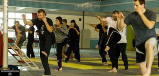 Diana Lee Inosanto feet photo 20