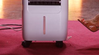 Diana Naborskaya feet photo thumbnail