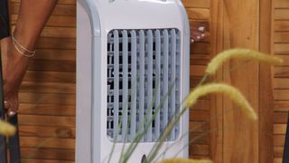 Diana Naborskaya feet photo thumbnail