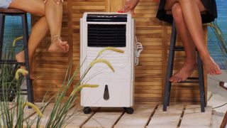 Diana Naborskaya feet photo thumbnail