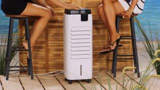 Diana Naborskaya feet photo thumbnail