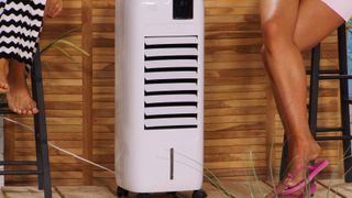 Diana Naborskaya feet photo thumbnail