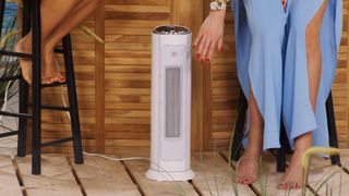 Diana Naborskaya feet photo thumbnail