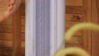 Diana Naborskaya feet photo thumbnail