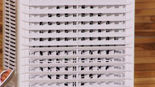 Diana Naborskaya feet photo thumbnail