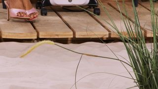 Diana Naborskaya feet photo 17