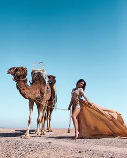 Diana Oliveira feet photo 8
