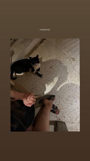Diana Pozharskaya feet photo 15