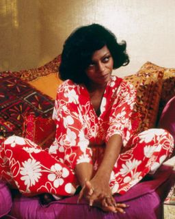 Diana Ross feet photo 1