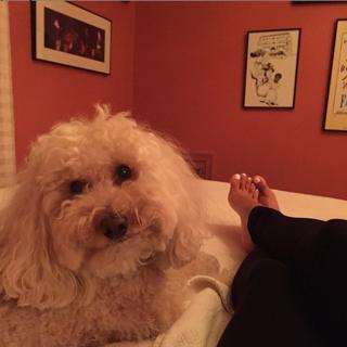 Diane Guerrero feet photo thumbnail