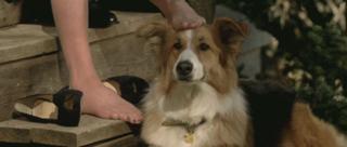 Diane Keaton feet photo thumbnail