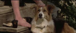 Diane Keaton feet photo thumbnail