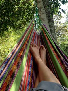 Diane Mizota feet photo 12