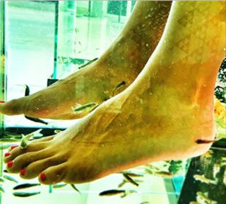 Diane Mizota feet photo 3
