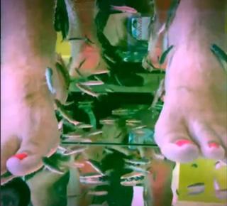 Diane Mizota feet photo 1