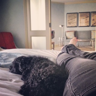 Diane Neal feet photo thumbnail