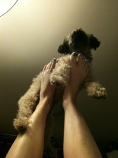 Diane Neal feet photo thumbnail