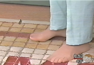 Diane Sawyer feet photo 5