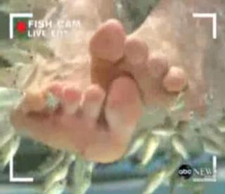Diane Sawyer feet photo 1