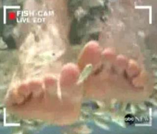 Diane Sawyer feet photo 20
