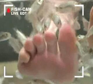 Diane Sawyer feet photo 19
