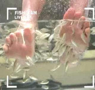 Diane Sawyer feet photo 18