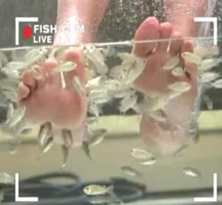 Diane Sawyer feet photo 16