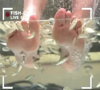 Diane Sawyer feet photo 15