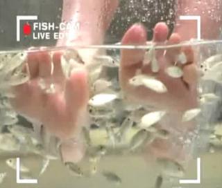 Diane Sawyer feet photo 14