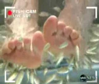 Diane Sawyer feet photo 12