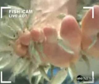 Diane Sawyer feet photo 11