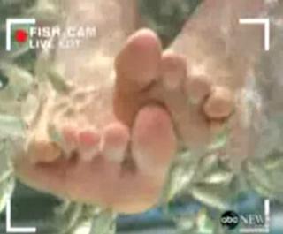 Diane Sawyer feet photo 10
