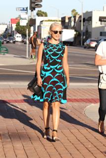 Dianna Agron feet photo thumbnail