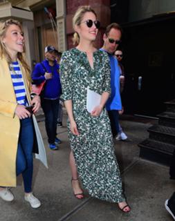 Dianna Agron feet photo thumbnail