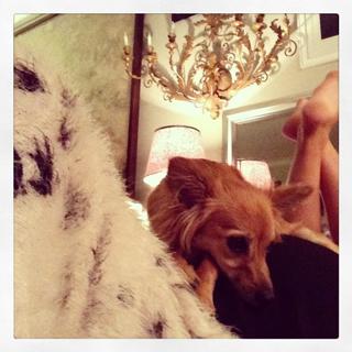 Dichen Lachman feet photo thumbnail