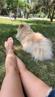 Didem Soydan feet photo thumbnail