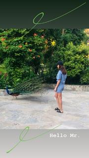 Dilan Çiçek Deniz feet photo thumbnail