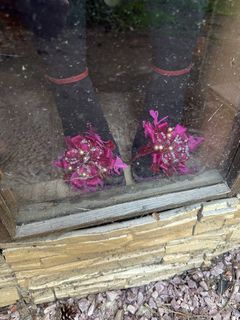 Dilara Zinatullina feet photo 11