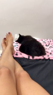 Dilek Kaya feet photo 12