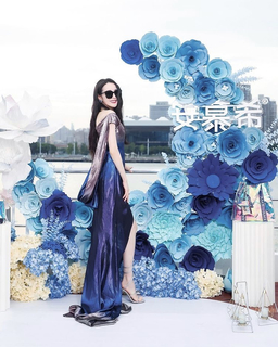 Dilraba Dilmurat feet photo thumbnail