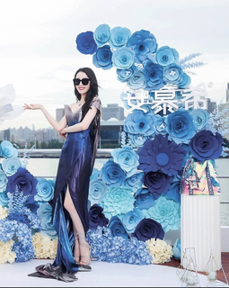 Dilraba Dilmurat feet photo thumbnail