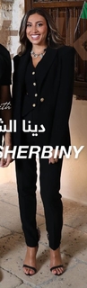 Dina El Sherbiny feet photo thumbnail