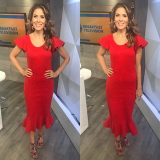 Dina Pugliese feet photo 15