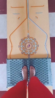 Dinara Safina feet photo 6