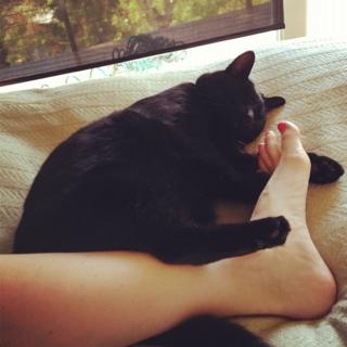 Diora Baird feet photo thumbnail