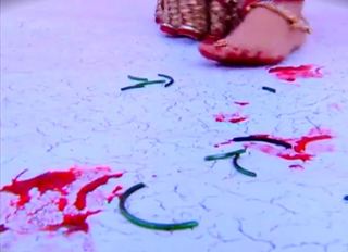 Dipika Kakar feet photo 2